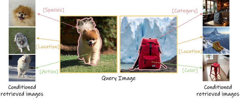 CLAY: Conditional Visual Similarity Modulation in Vision-Language Embedding Space teaser